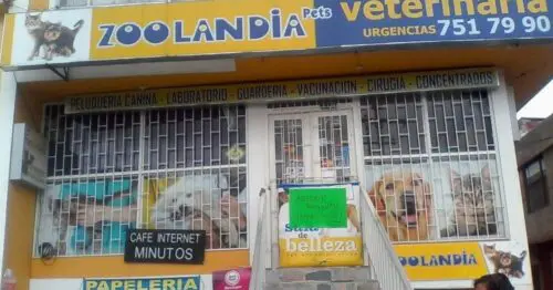 ZOOLANDIA PETS BARRANCAS ZOOLANDIA PETS BARRANCAS